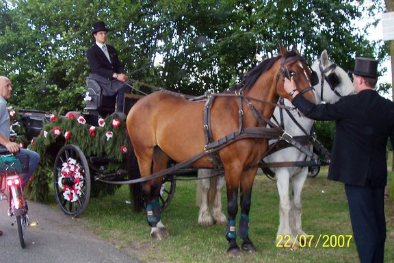 100_1627.JPG