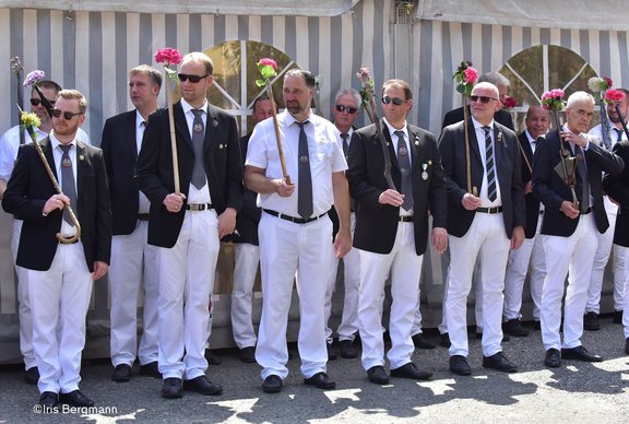 DSC_7920 Kopie.jpg 