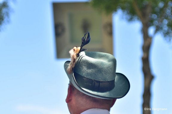 DSC_8118 Kopie.jpg 