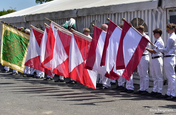 DSC_7924 Kopie.jpg 