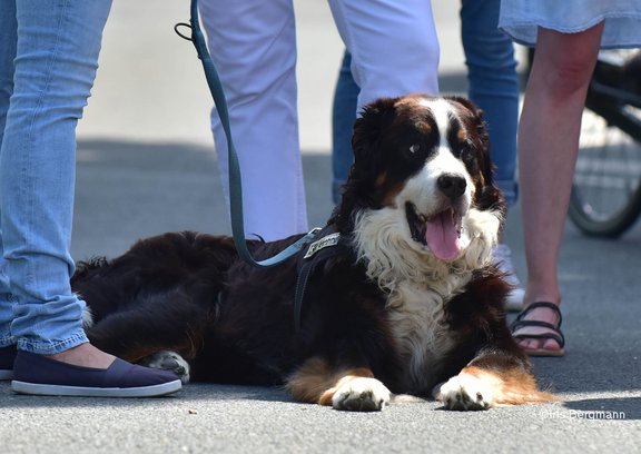 DSC_7994 Kopie.jpg 